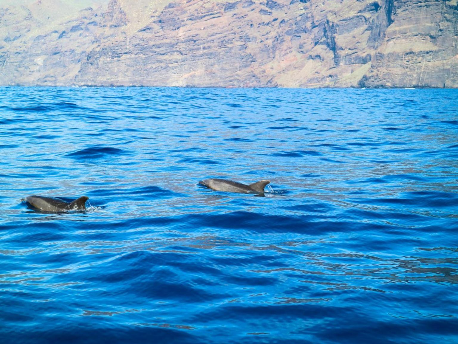 Santiago del Teide Apartamento Cerca De La Playa מראה חיצוני תמונה