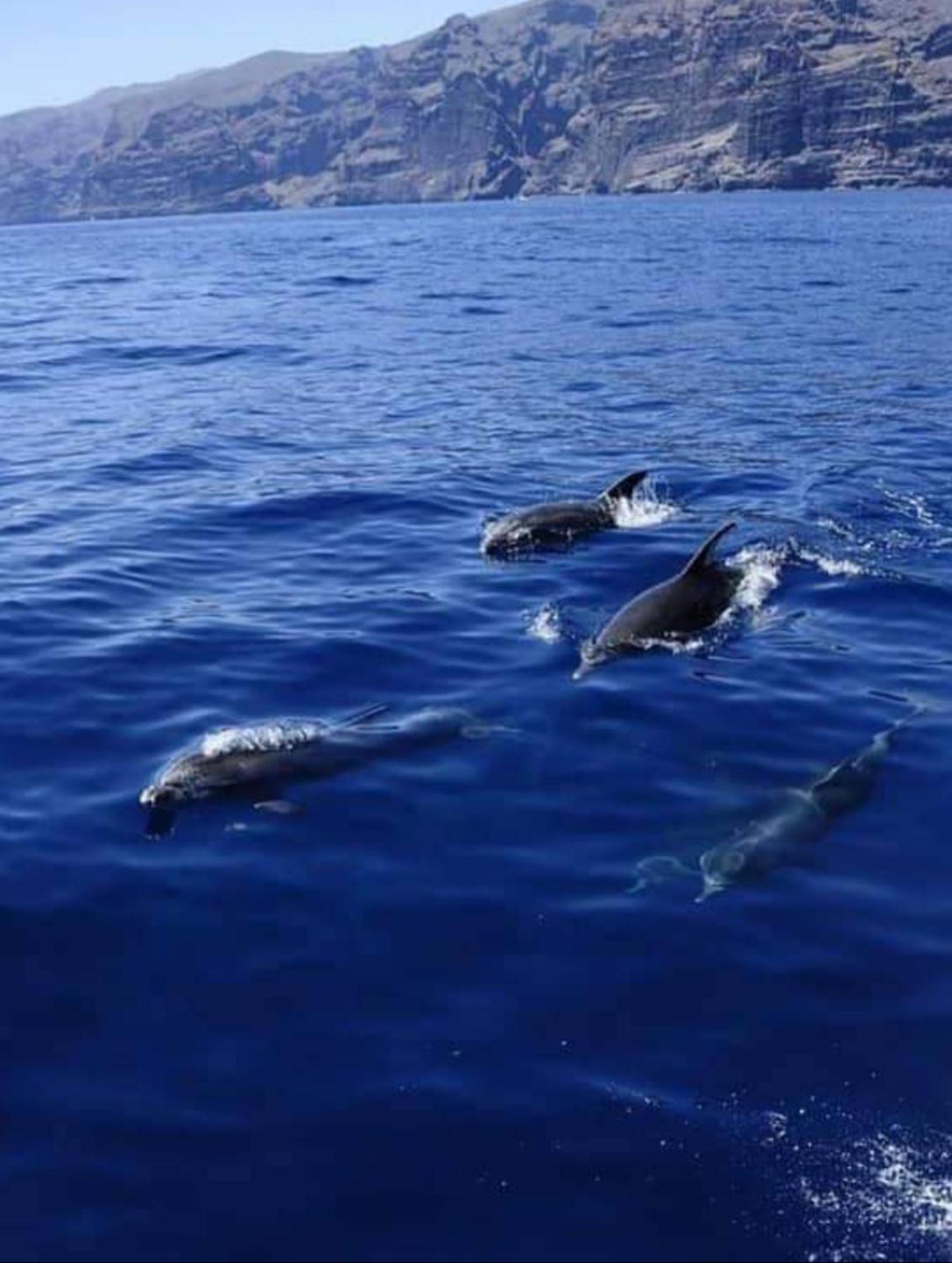 Santiago del Teide Apartamento Cerca De La Playa מראה חיצוני תמונה
